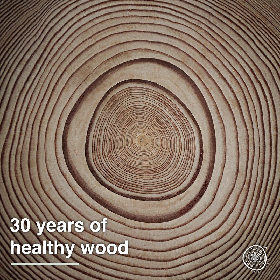 Compiamo 30 anni di pavimenti in legno biocompatibili!